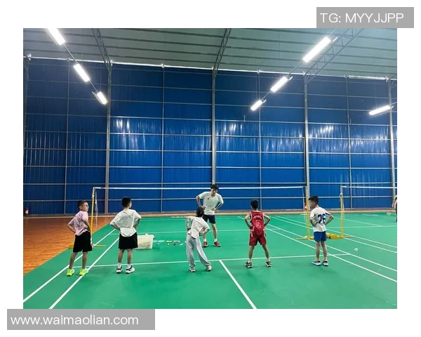 羽毛球的梦想与坚持成都羽毛球队成长历程的真实记录