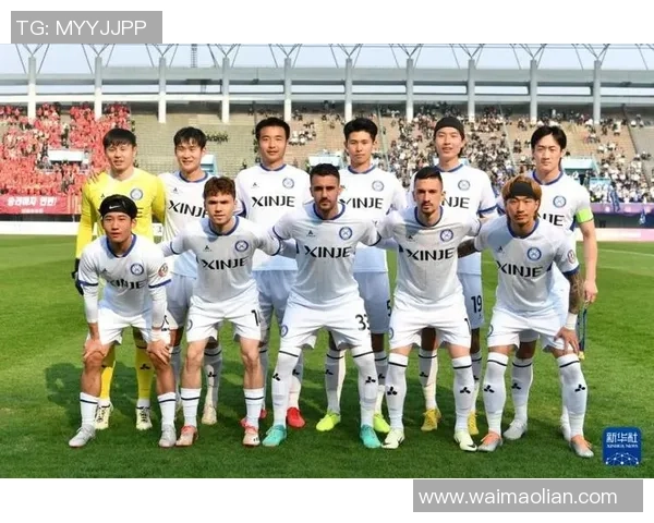 延边足球队员名单详解及球员个人信息分析与赛季表现评估